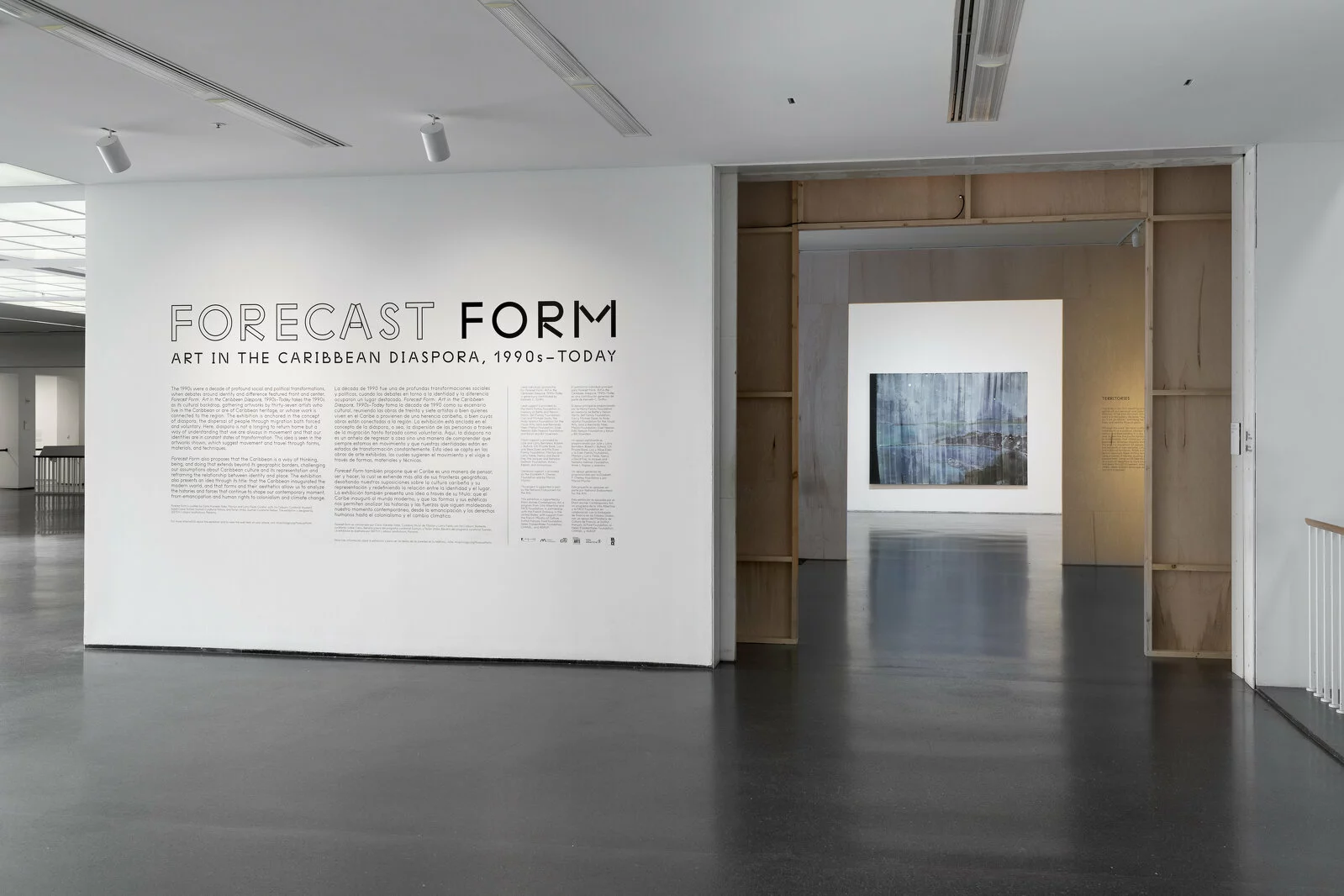 Installation view, <i>Forecast Form: Art in the Caribbean Diaspora, 1990s-Today</i>, MCA Chicago, Nov 19, 2022–Apr 23, 2023. Photo: James Prinz Photography. 2022/05/Ex10_2022_ForecastForm_20230324_11.jpg 