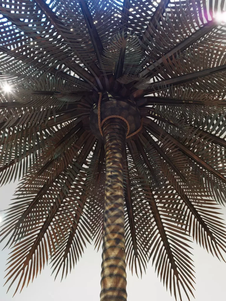 looking up from the base of a palm tree with ropes looped just below the canopy