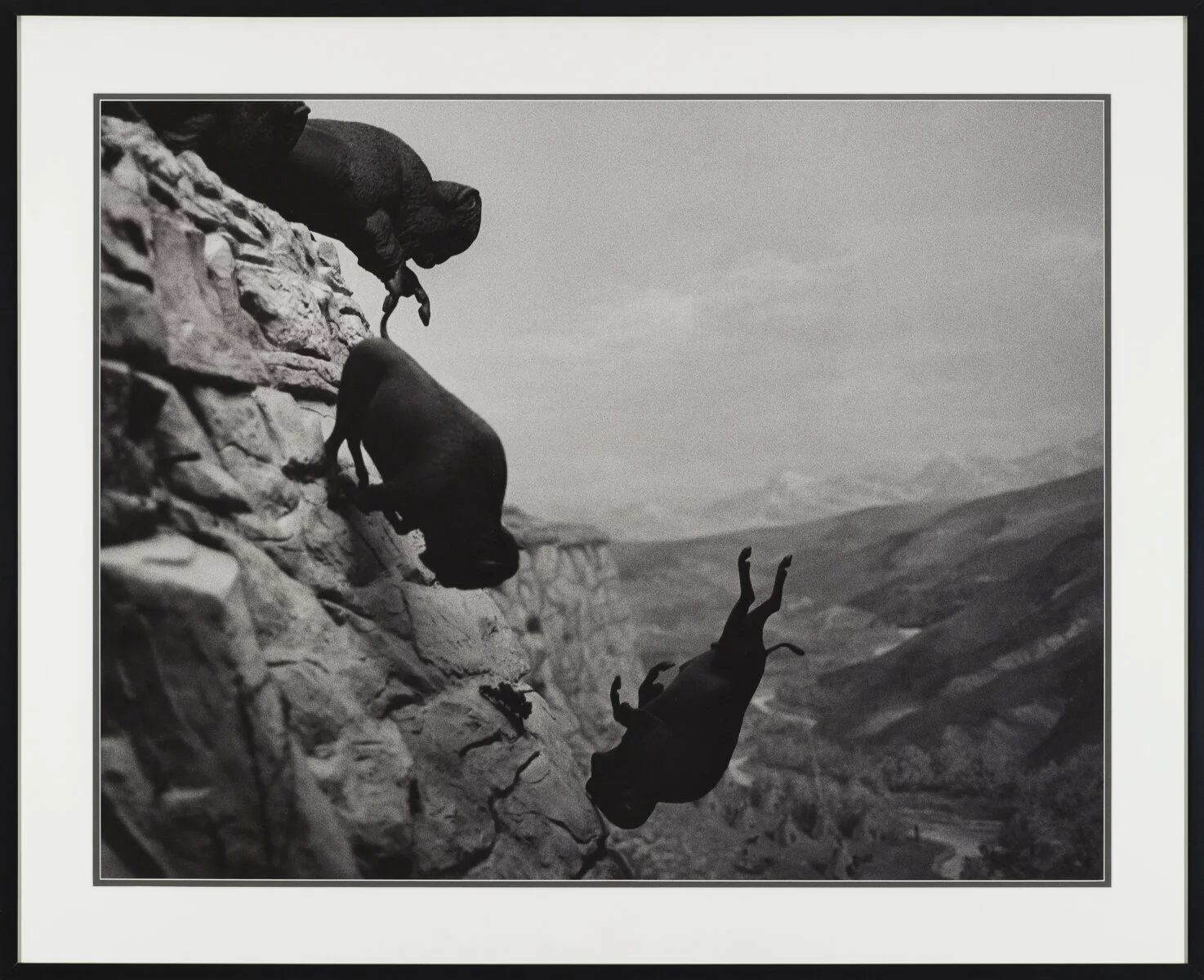 David Wojnarowicz, <i>Untitled (Buffalo)</i>, 1988–89. Collection Museum of Contemporary Art Chicago, Gift of Stephen Solovy Art Foundation, 1992.93. © 1988–89 David Wojnarowicz. Photo: Nathan Keay, © MCA Chicago. 2022/08/1992_93.jpg 