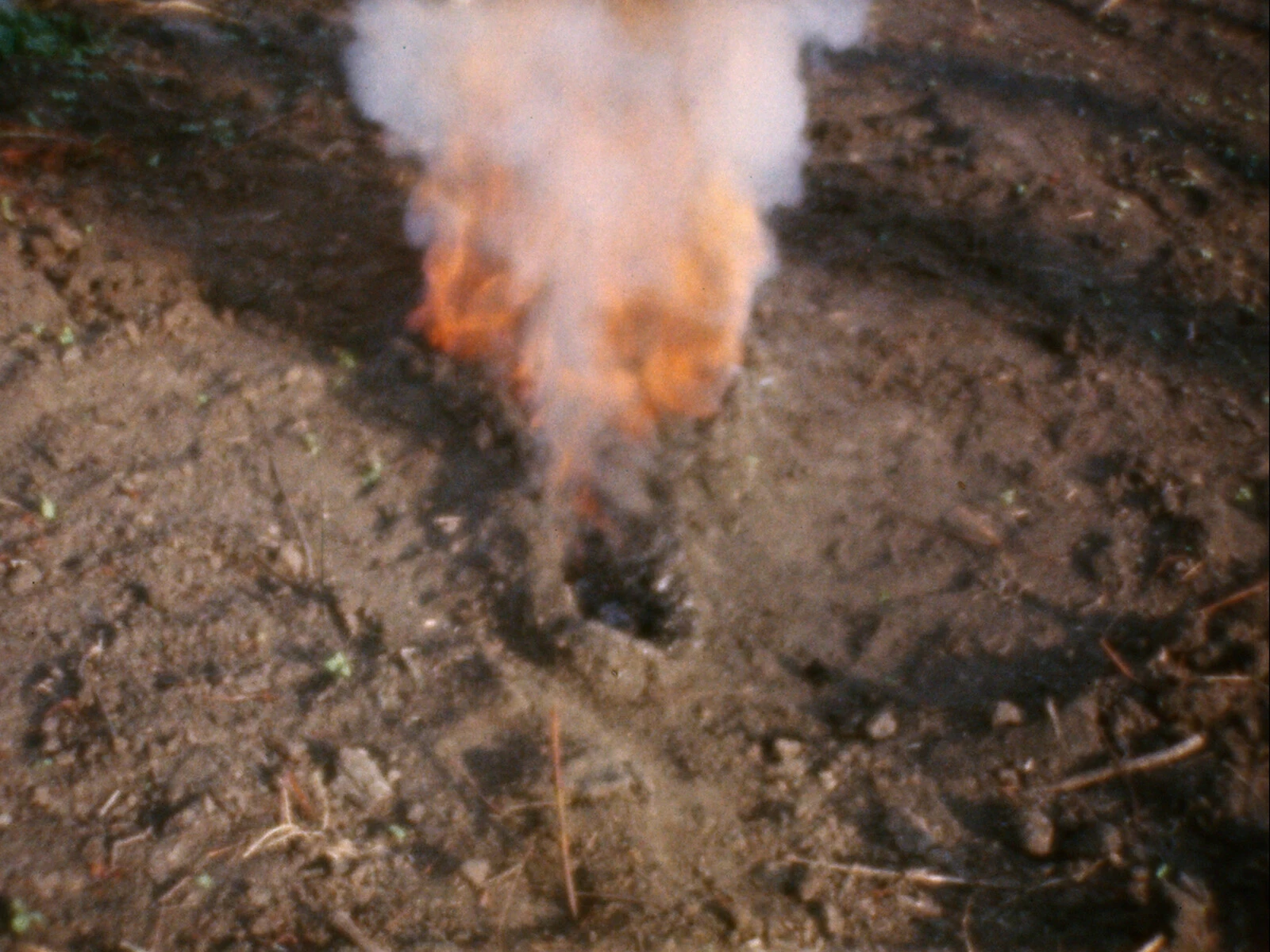 Ana Mendieta, <em>Untitled: Silueta Series (Gunpowder Works)</em>, 1980. Super-8mm film transferred to
high-definition digital media, color, silent; dimensions variable. Gift of the D.Daskalopoulos
Collection donated jointly to the Museum of Contemporary Art Chicago and the Solomon R.
Guggenheim Museum, 2022.88. Photo: Solomon R. Guggenheim Museum. 2024/03/2022_88_v02.jpg 