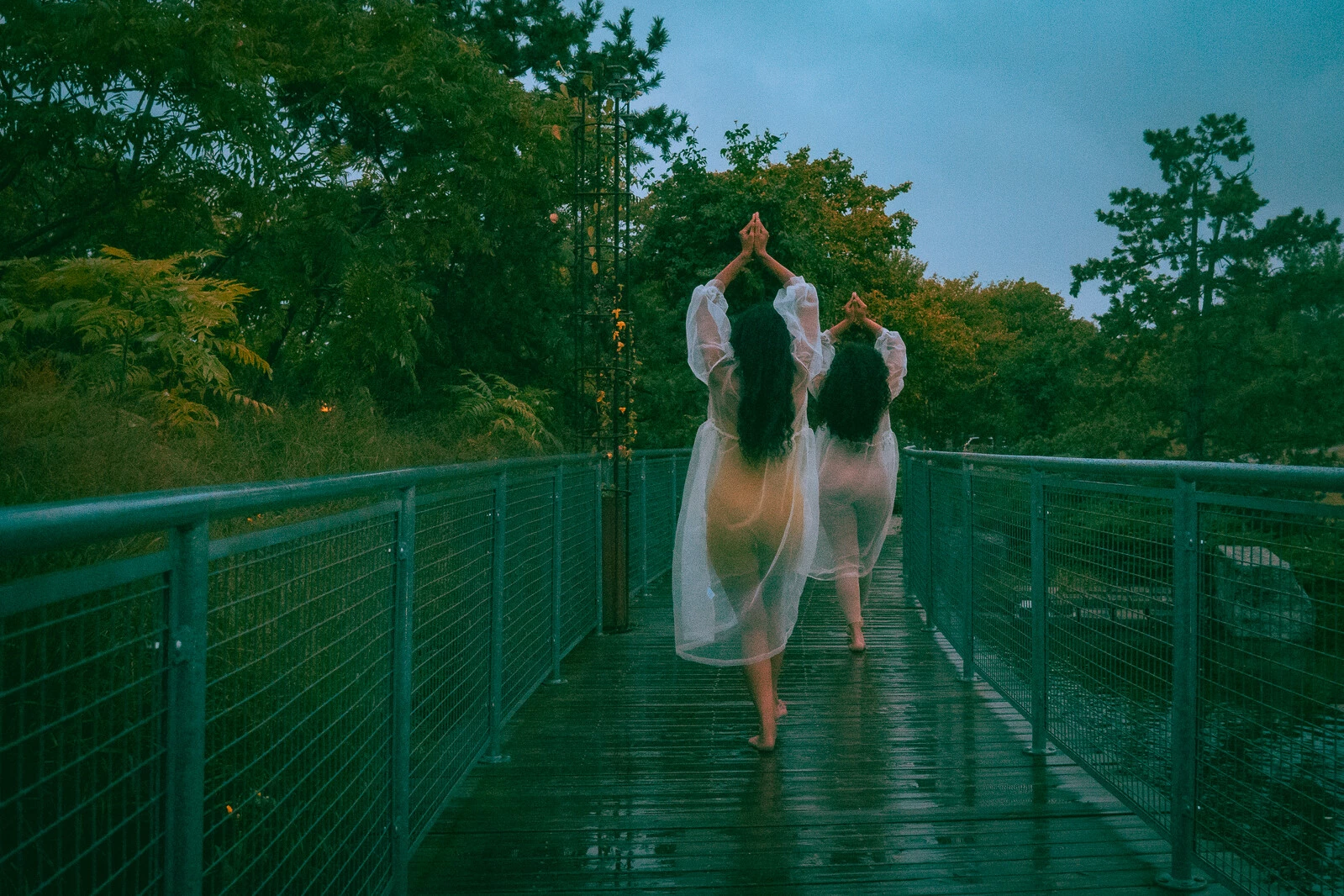 Two people walk a boardwalk in the rain with their hands clasped above their heads.