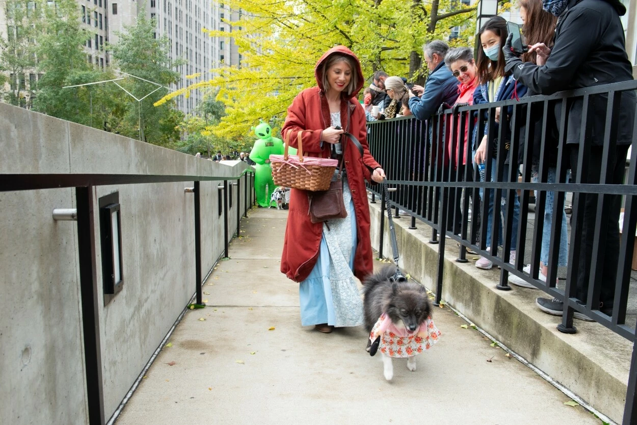 A woman dressed as Little Red Riding Hood walking a dog dressed as the Wolf Grandma.