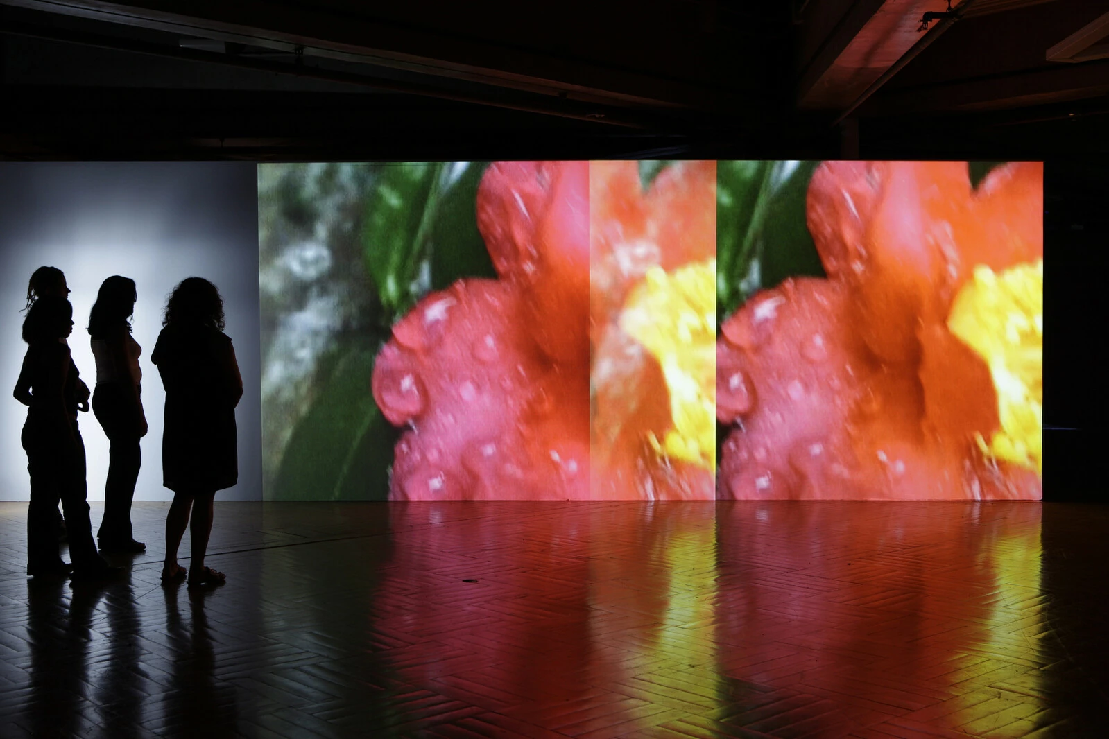 In a dark room four people look at a large screen displaying a double image of an out-of-focus flower shot close-up.